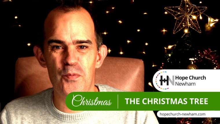 Christmas Tree – Christmas at HCN