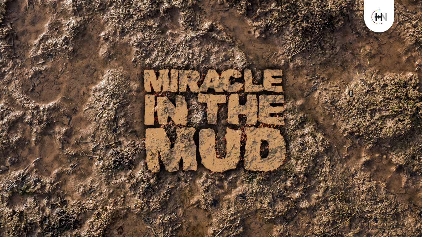 Miracle in the Mud